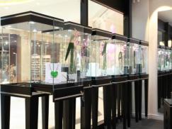 Ladenbau | Shopdesign